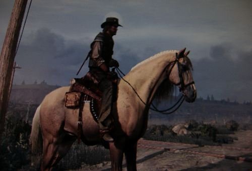 Cavalos Red Dead Redemption