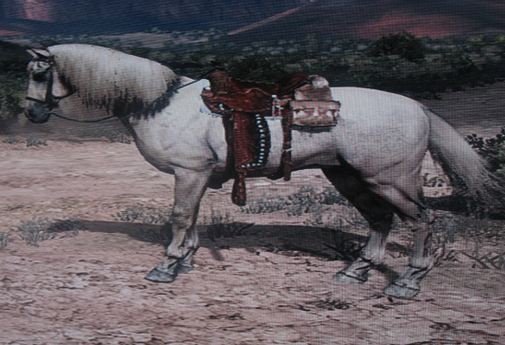 Red Dead Redemption 2 : Os melhores cavalos do jogo.