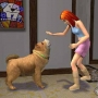 Dicas e Códigos para The Sims 2: Pets (PS2)